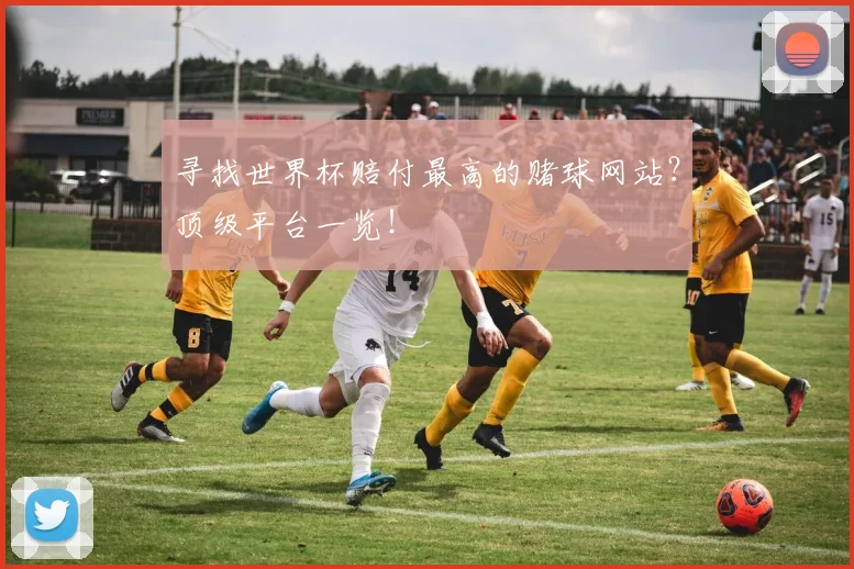 寻找世界杯赔付最高的赌球网站？顶级平台一览！