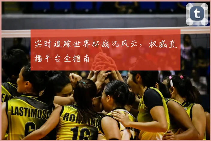 实时追踪世界杯战况风云，权威直播平台全指南
