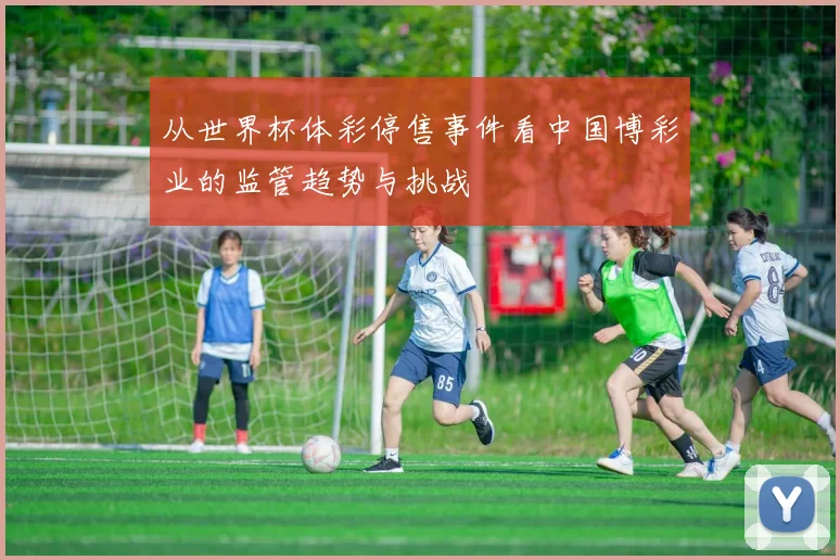 从世界杯体彩停售事件看中国博彩业的监管趋势与挑战