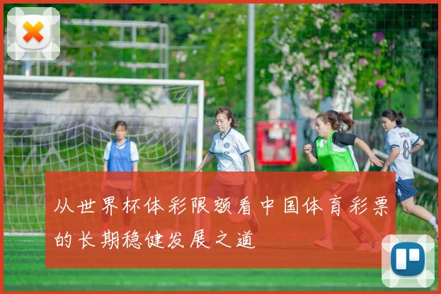 从世界杯体彩限额看中国体育彩票的长期稳健发展之道