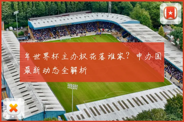 年世界杯主办权花落谁家?申办国最新动态全解析